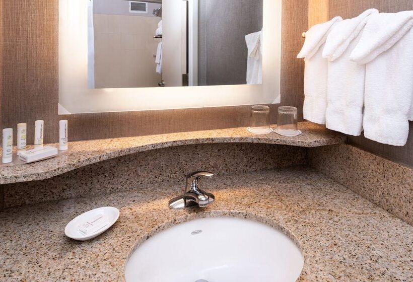 חדר סטודיו סטנדרד, Springhill Suites By Marriott Pittsburgh North Shore