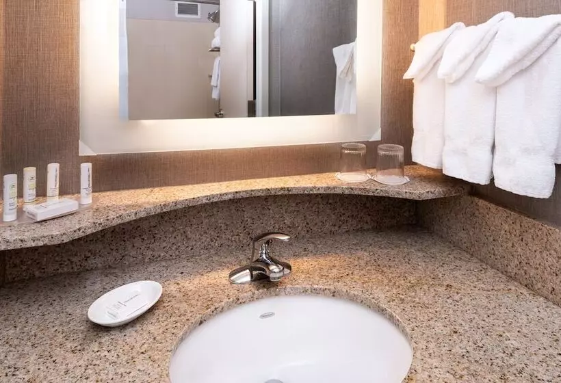 استودیوی استاندارد, Springhill Suites By Marriott Pittsburgh North Shore