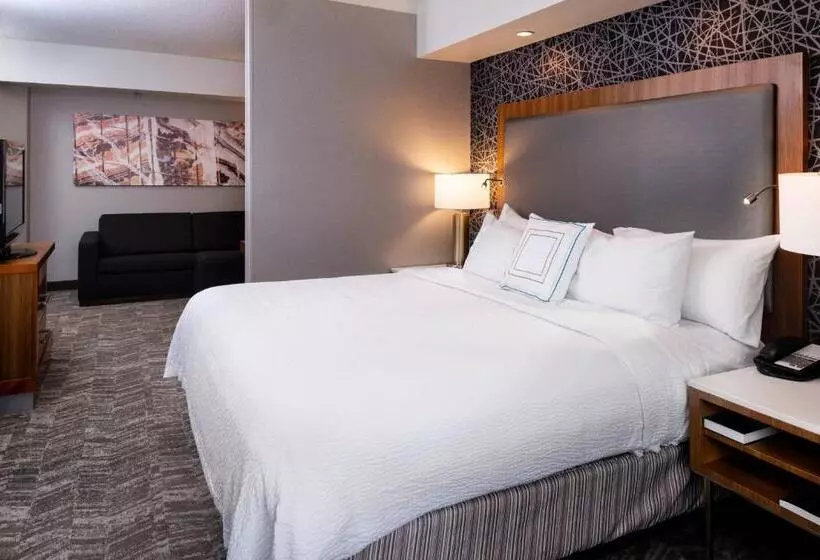 استودیو استاندارد با تخت کینگ, Springhill Suites By Marriott Pittsburgh North Shore