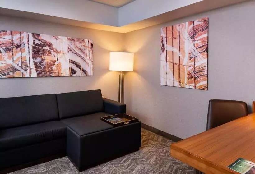 استودیو استاندارد با تخت کینگ, Springhill Suites By Marriott Pittsburgh North Shore