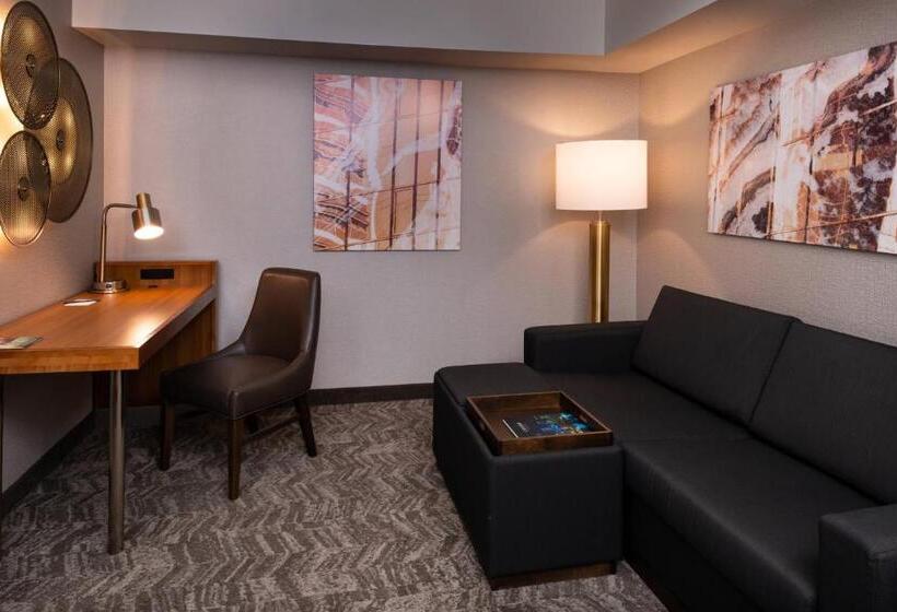 חדר סטודיו סטנדרד, Springhill Suites By Marriott Pittsburgh North Shore