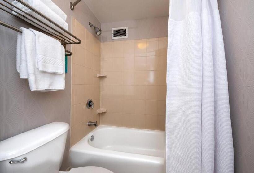 带双人大床的行政管理套房, Springhill Suites By Marriott Pittsburgh North Shore