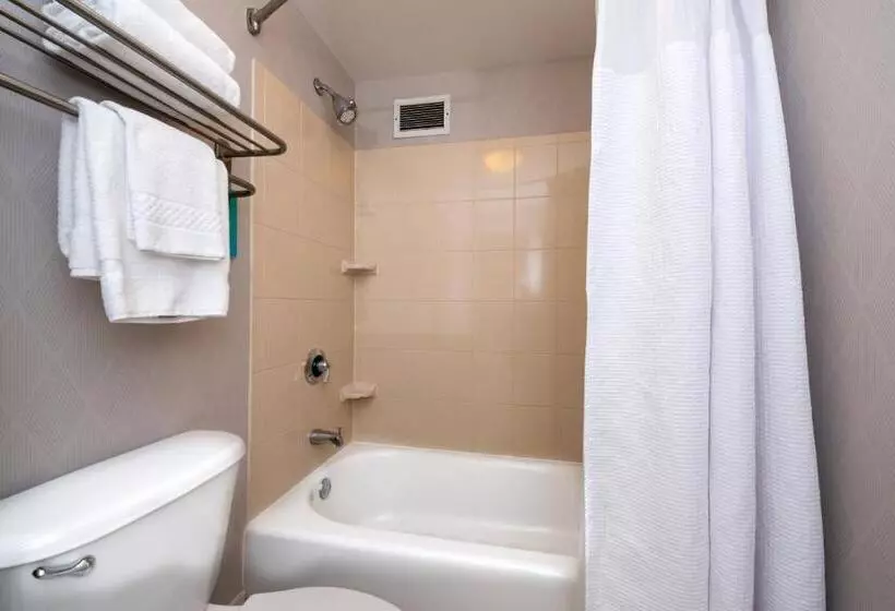 سوئیت اجرایی با تخت کینگ, Springhill Suites By Marriott Pittsburgh North Shore