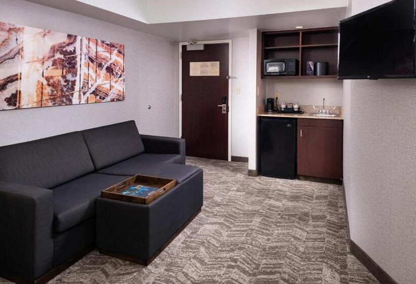 סוויטת אקזקיוטיב, עם מיטת קינג, Springhill Suites By Marriott Pittsburgh North Shore