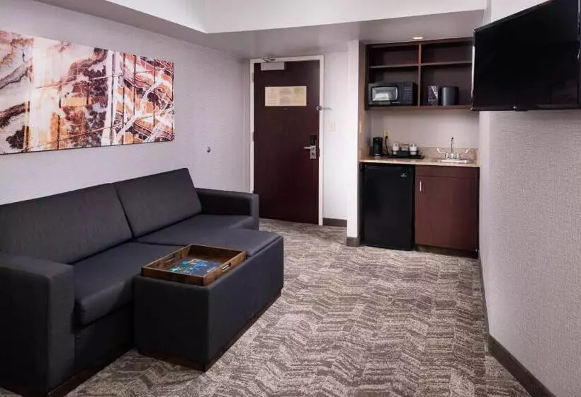 سوئیت اجرایی با تخت کینگ, Springhill Suites By Marriott Pittsburgh North Shore
