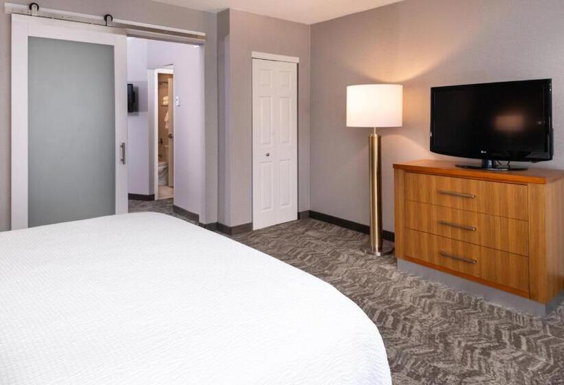 סוויטת אקזקיוטיב, עם מיטת קינג, Springhill Suites By Marriott Pittsburgh North Shore