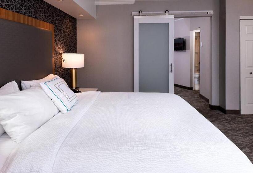 סוויטת אקזקיוטיב, עם מיטת קינג, Springhill Suites By Marriott Pittsburgh North Shore
