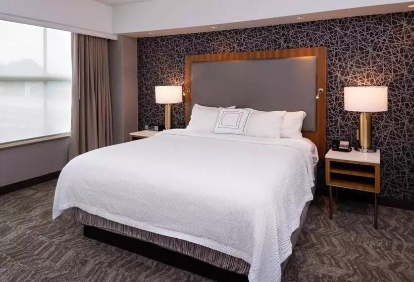 سوئیت اجرایی با تخت کینگ, Springhill Suites By Marriott Pittsburgh North Shore