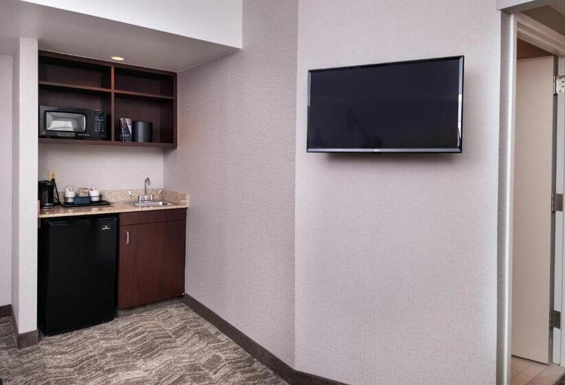 סוויטת אקזקיוטיב, עם מיטת קינג, Springhill Suites By Marriott Pittsburgh North Shore