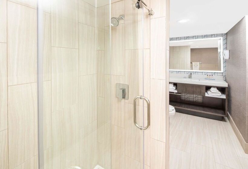 스위트, Wingate By Wyndham Greenville Airport