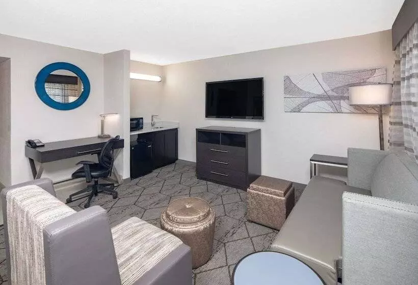 スイート, Wingate By Wyndham Greenville Airport