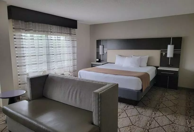 スイート, Wingate By Wyndham Greenville Airport