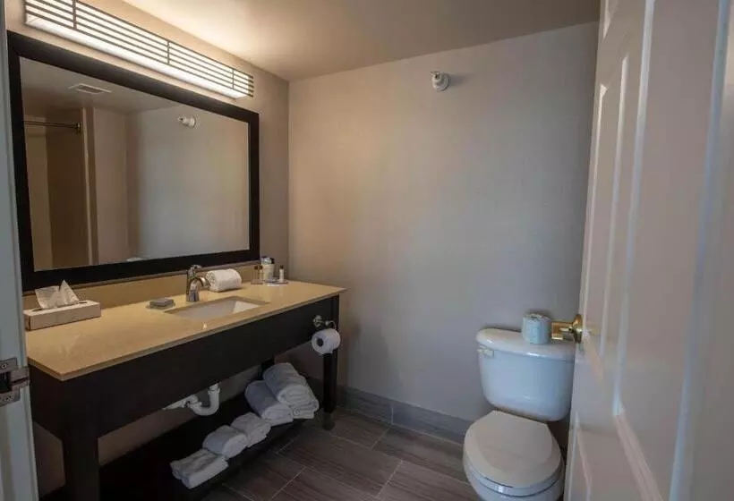 キングサイズベッドのデラックススイート, Wingate By Wyndham Indianapolis Airport Plainfield