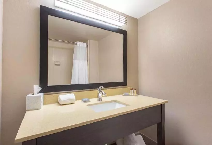 キングサイズベッドのデラックススイート, Wingate By Wyndham Indianapolis Airport Plainfield