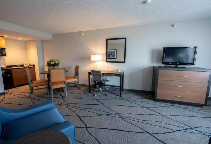 キングサイズベッドのデラックススイート, Wingate By Wyndham Indianapolis Airport Plainfield