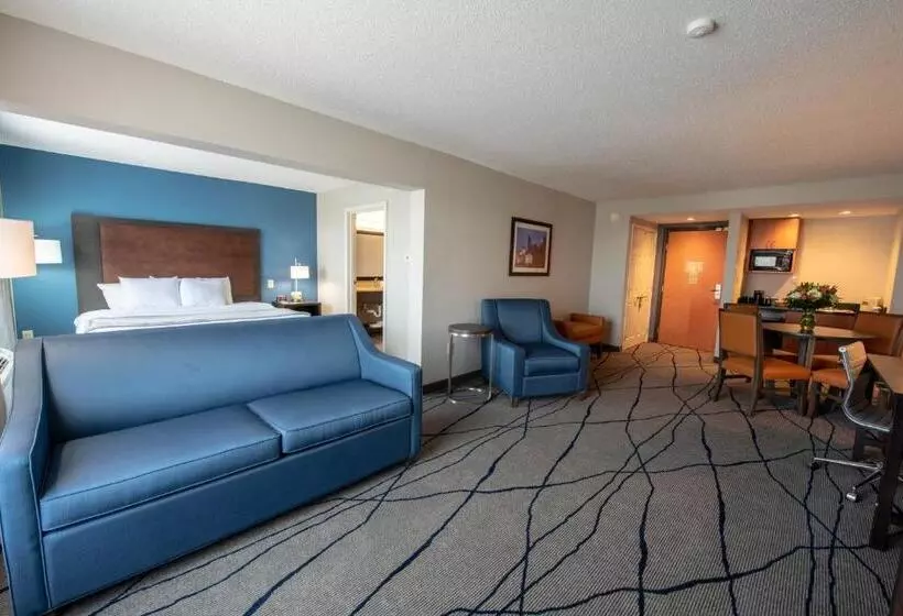 キングサイズベッドのデラックススイート, Wingate By Wyndham Indianapolis Airport Plainfield