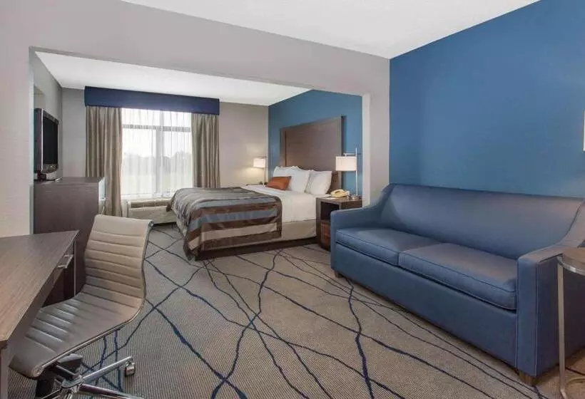 キングサイズベッドのスタンダードルーム, Wingate By Wyndham Indianapolis Airport Plainfield