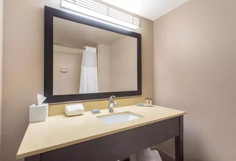 キングサイズベッドのデラックスルーム, Wingate By Wyndham Indianapolis Airport Plainfield