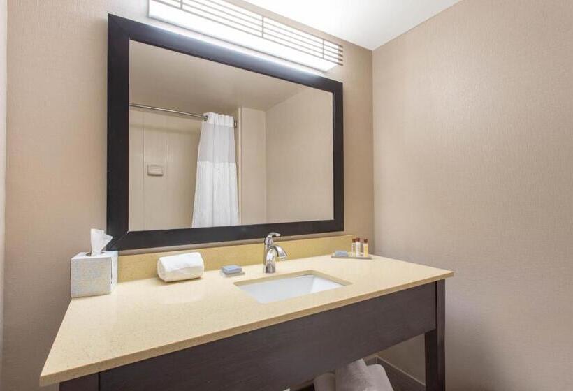 Номер Deluxe Кровать Кинг, Wingate By Wyndham Indianapolis Airport Plainfield