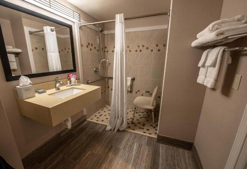 Стандартный Номер Кровать Кинг, Wingate By Wyndham Indianapolis Airport Plainfield