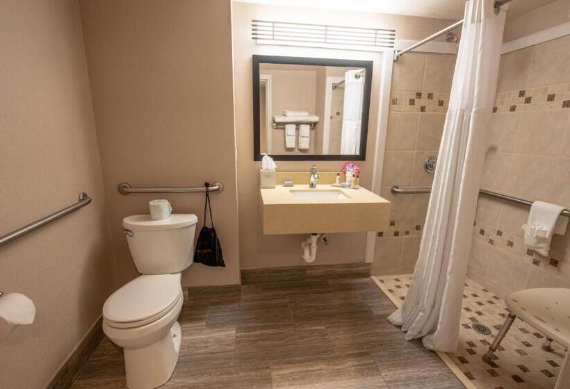 غرفة قياسية سرير كينج, Wingate By Wyndham Indianapolis Airport Plainfield