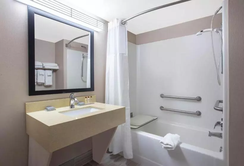 身障者適用スタンダードルーム, Wingate By Wyndham Indianapolis Airport Plainfield