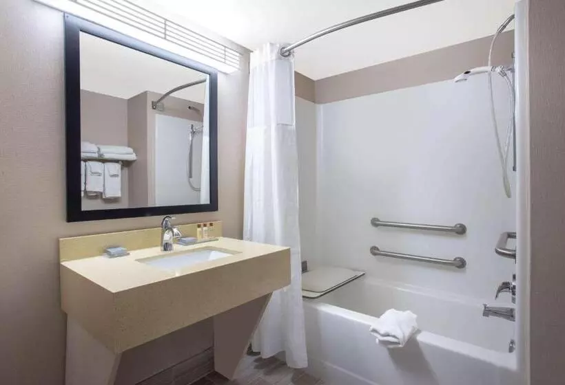 身障者適用スタンダードルーム, Wingate By Wyndham Indianapolis Airport Plainfield