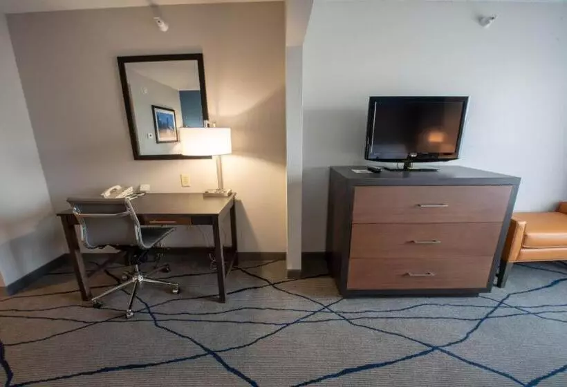 身障者適用スタンダードルーム, Wingate By Wyndham Indianapolis Airport Plainfield