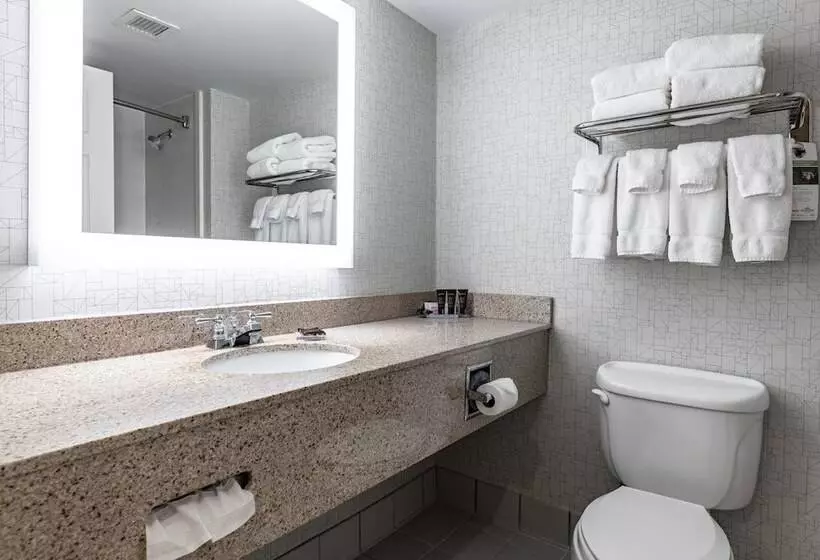 エクゼクティブルーム, Wingate By Wyndham Parkersburg   Vienna