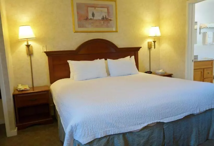 キングサイズベッドのスタンダードルーム, Monument Mountain Motel