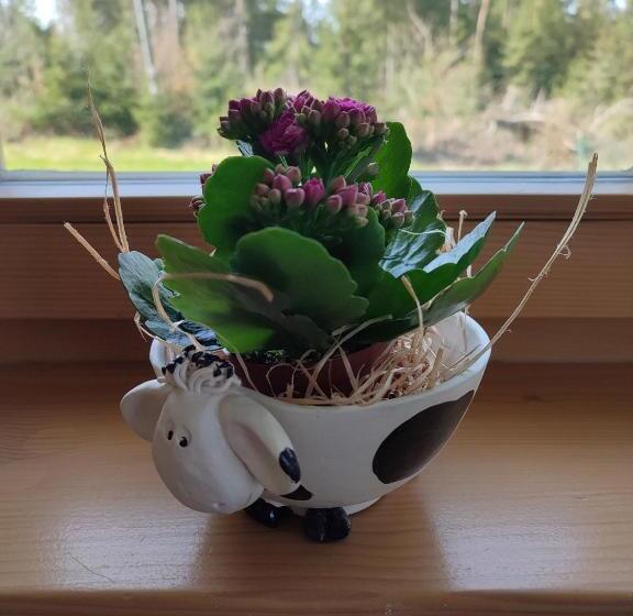 1階の1ベッドルームアパートメント, Haus Kuhberg