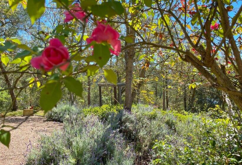 בית, חדר שינה 1, Capers Cottage And Barn Accommodation