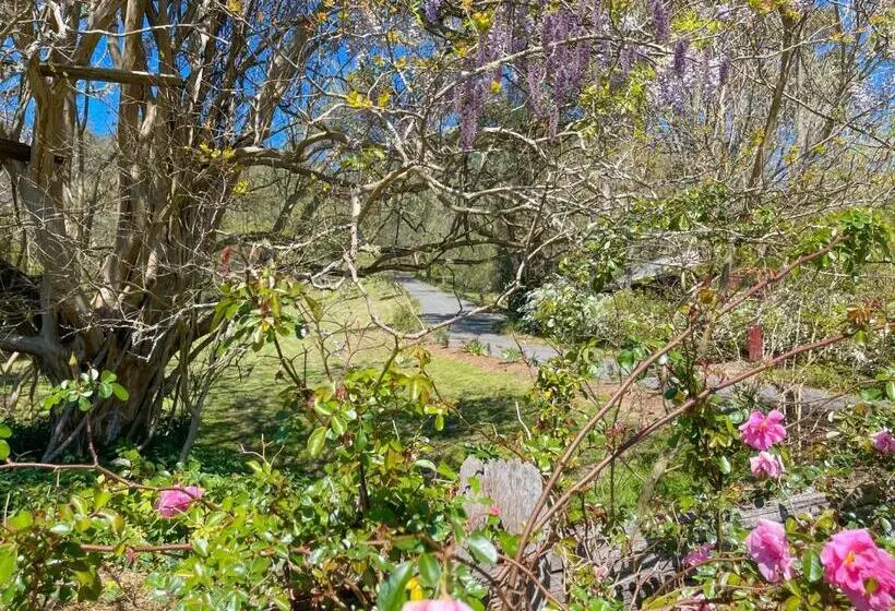 1ベッドルームハウス, Capers Cottage And Barn Accommodation
