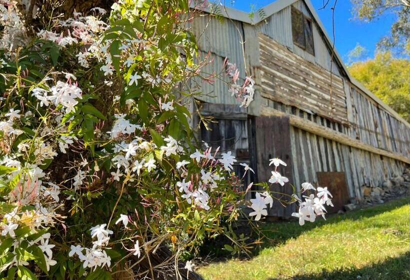 带大床的标准工作室, Capers Cottage And Barn Accommodation