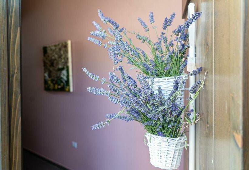 غرفة عائلية, Le Masserie Zucaro