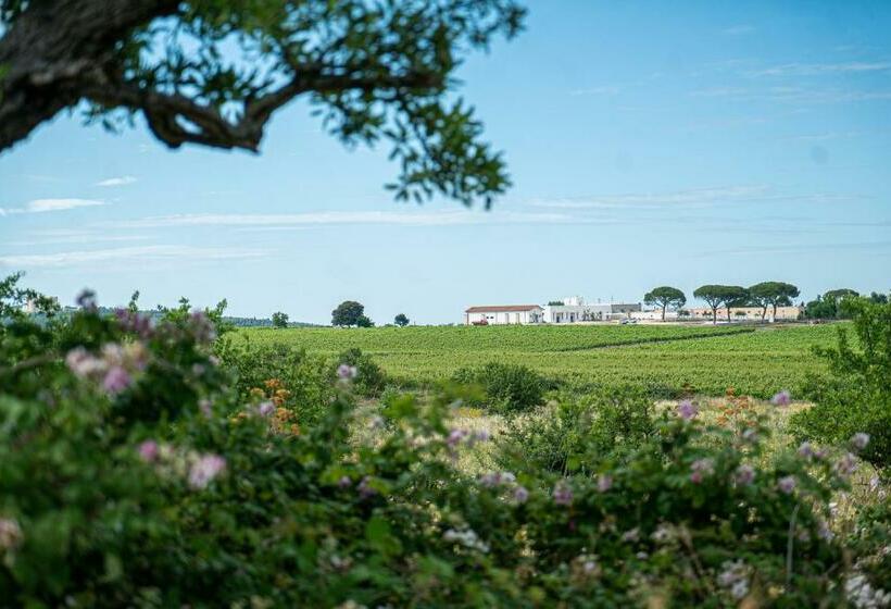 غرفة عائلية, Le Masserie Zucaro