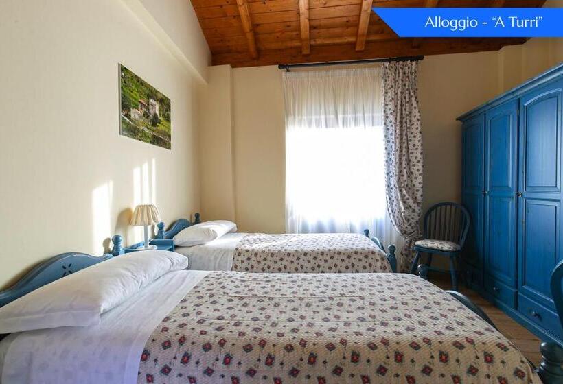 Pokój Standard, B&b Loreto