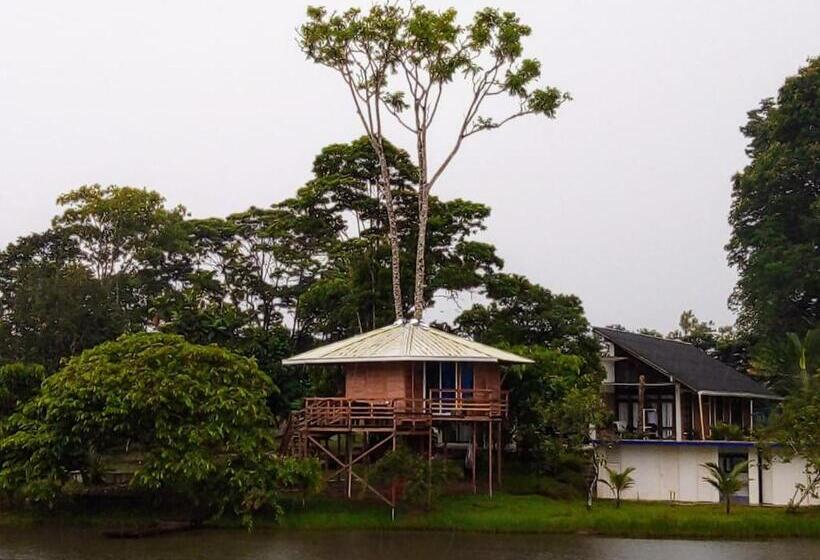 テラス付き1ベッドルームアパートメント, Hostal Suna Vito