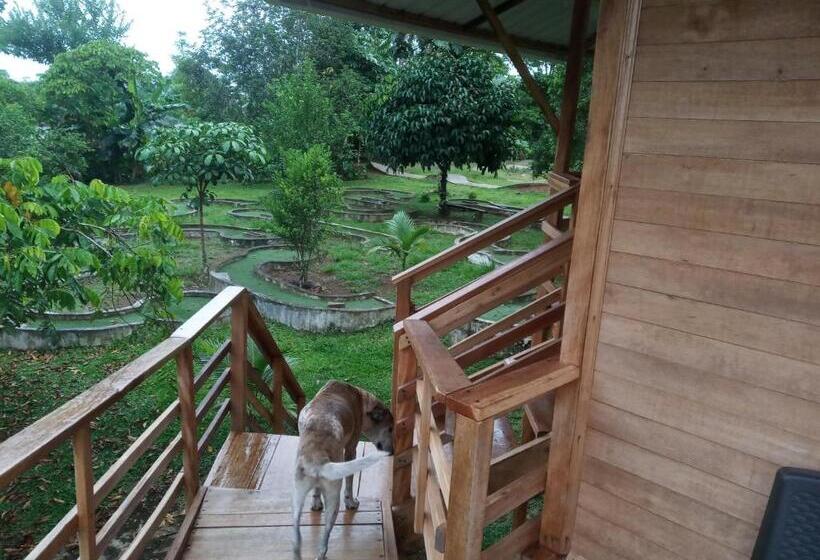 テラス付き1ベッドルームアパートメント, Hostal Suna Vito