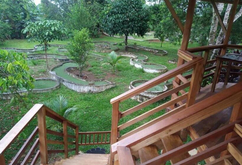 テラス付き1ベッドルームアパートメント, Hostal Suna Vito