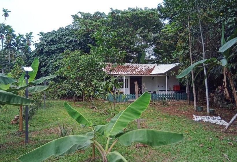 庭の見える1ベッドルームアパートメント, Hostal Suna Vito