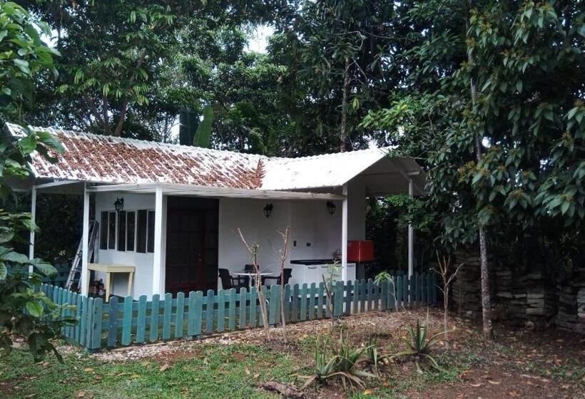 庭の見える1ベッドルームアパートメント, Hostal Suna Vito