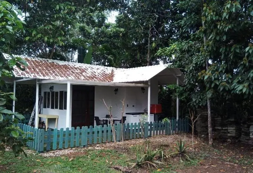 庭の見える１ベッドルームアパートメント, Hostal Suna Vito