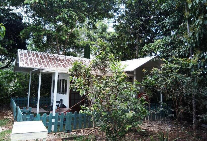 庭の見える1ベッドルームアパートメント, Hostal Suna Vito