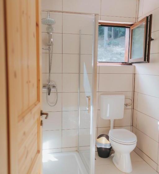 Номер Superior Кровать Кинг, Pensiunea Agnes