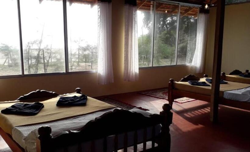 四人标准间, 5 Mile Beach Resort