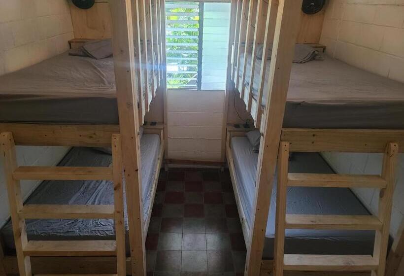 공동 객실, Hammock Plantation