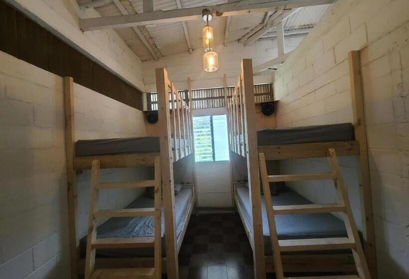 Кровать в Общей Комнате, Hammock Plantation