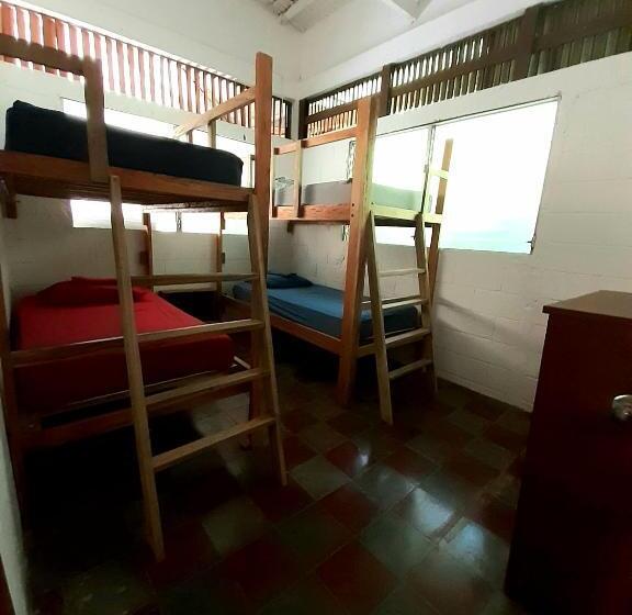 공동 객실, Hammock Plantation