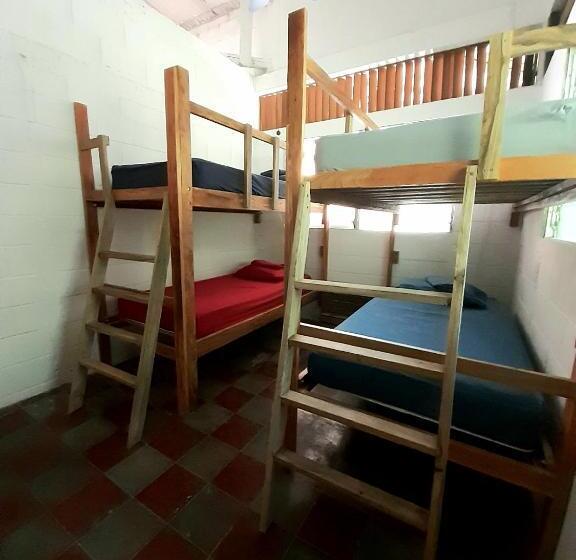 공동 객실, Hammock Plantation